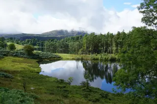 Black Crag Walk — Tarn Hows & Tom Gill Circular Guide — photo 1