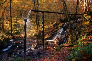 Force Falls Walk — Grizedale Forest Waterfall & Sculpture Trail