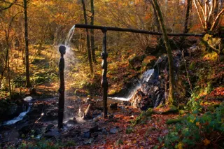 Force Falls Walk — Grizedale Forest Waterfall & Sculpture Trail — photo 1