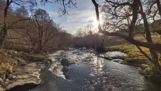 Aira Force Walk — Waterfall Trail & Full Gowbarrow Circular — photo 2