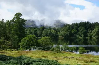 Black Crag Walk — Tarn Hows & Tom Gill Circular Guide — photo 6