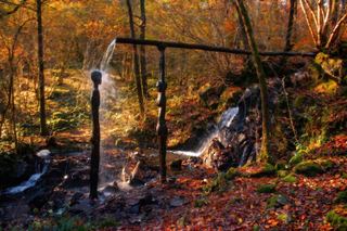 Force Falls Walk — Grizedale Forest Waterfall & Sculpture Trail