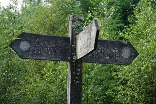 Black Crag Walk — Tarn Hows & Tom Gill Circular Guide — photo 5