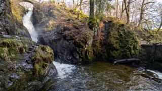 Aira Force Walk — Waterfall Trail & Full Gowbarrow Circular