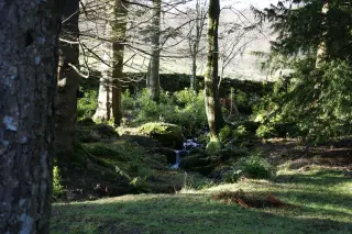 Aira Force Walk — Waterfall Trail & Full Gowbarrow Circular — photo 4