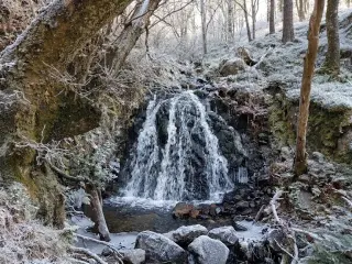 Tarn Hows Walk — Tom Gill Waterfalls Circular — photo 2