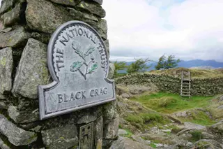 Black Crag Walk — Tarn Hows & Tom Gill Circular Guide — photo 4